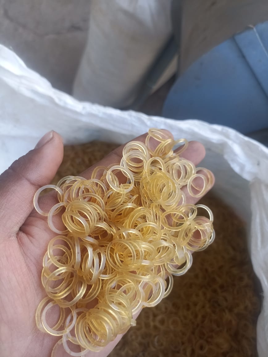 Rubber Bands